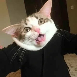 🤨