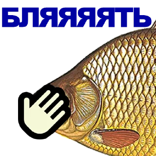 🐠