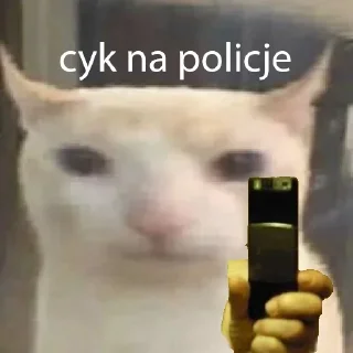 📱