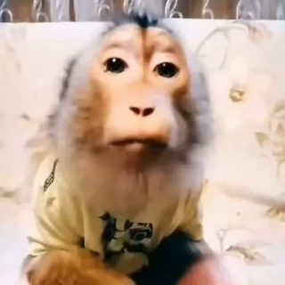 🌟