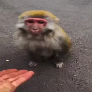 🖐