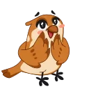 🐤