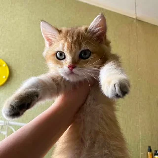 🙂