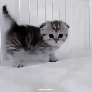 🍙