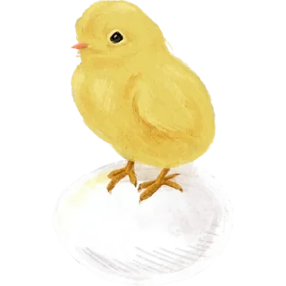🐣