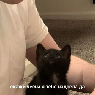 🥺