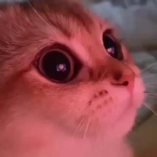 ☺️