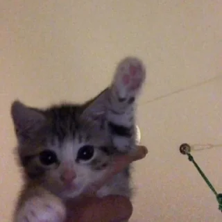 👋