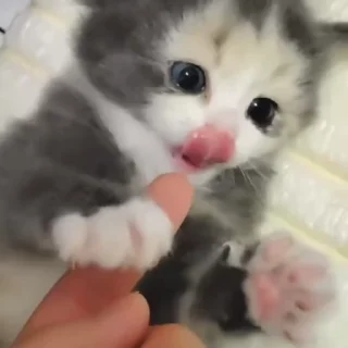 🥹