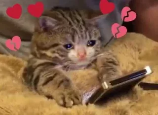 💕