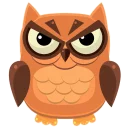 🦉