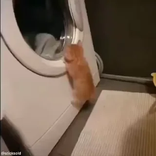 😳