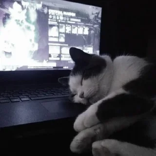 😴