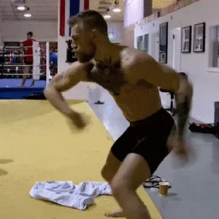 🥊