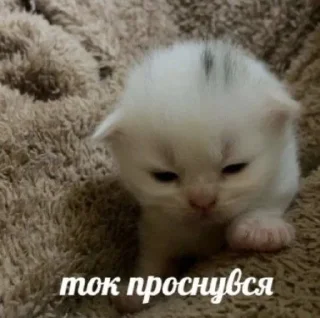 🥱