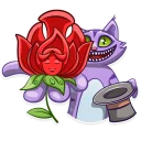 🌹