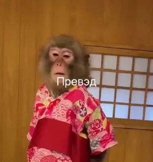 😁