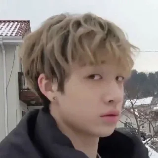 🐺
