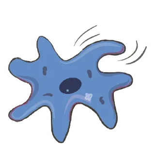 ✋