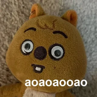😵‍💫