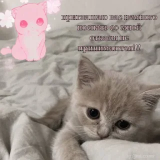 💞
