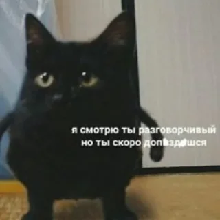 💪