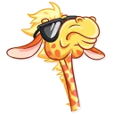 😎