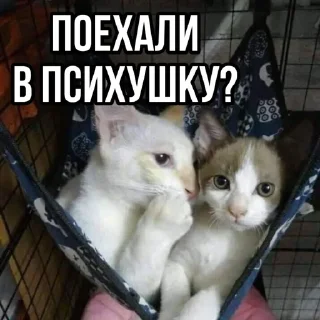 🤯