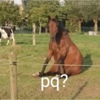 🤨