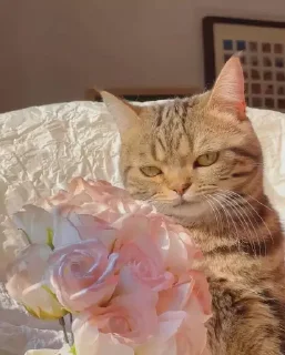 🌸