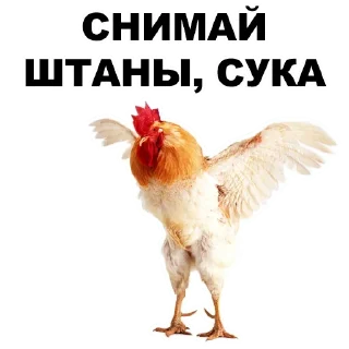 ✌️