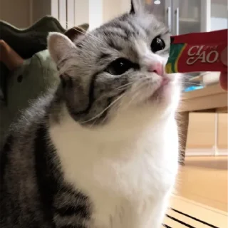 🍓
