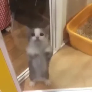 🤗