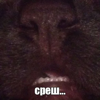 😾