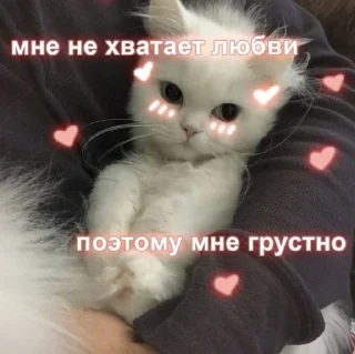 💖