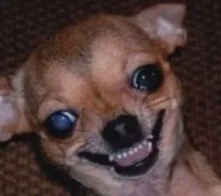 😁