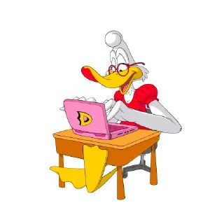 💻