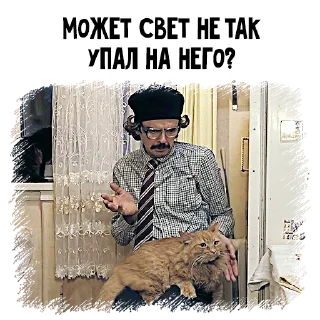 🐱