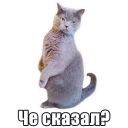 😕