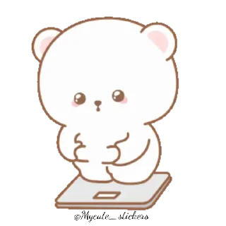 🐻
