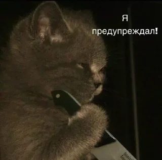 🫡