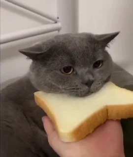 😋