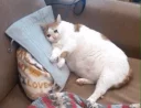 ☹