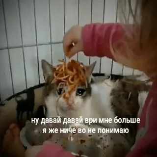 😭