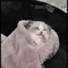 cutecat^^