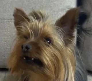😬