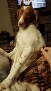 😌