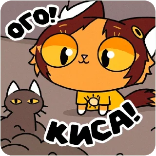 🐈‍⬛