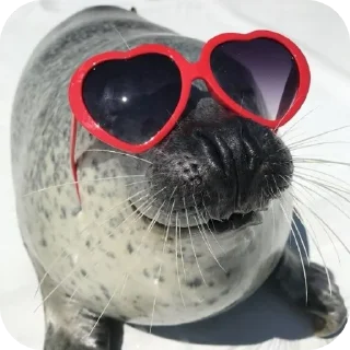 😎