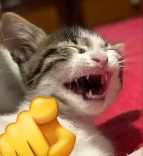 😂